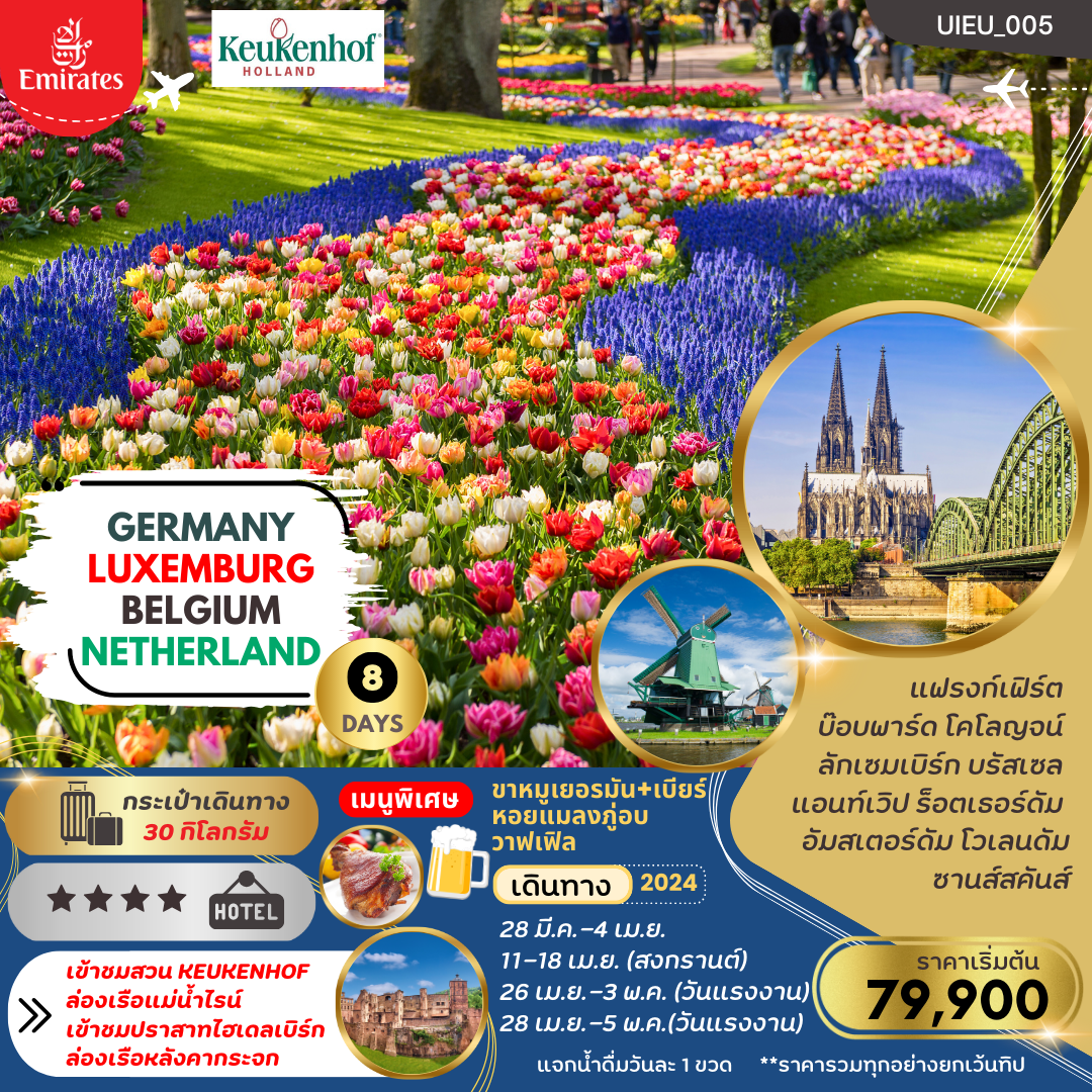 ทัวร์ยุโรป2024 Tulip Festival  เยอรมัน เบลเยี่ยม ลักเซมเบิร์ก เนเธอร์แลนด์ 8วัน เดินทาง มีนาคม-พฤษภาคม 2567 ราคาเริ่มต้น 79,900.-